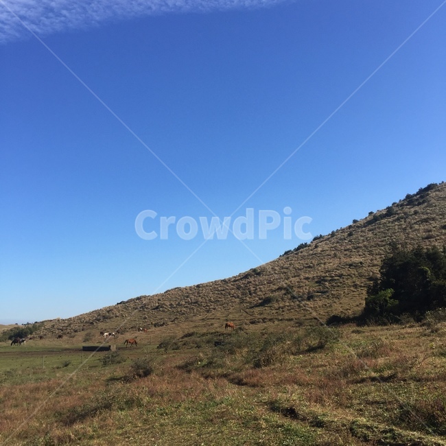하늘,산,풍경,자연,자연풍경,휴식,자연,풍경,nature,landscape,outdoors,옥외,slope,경사