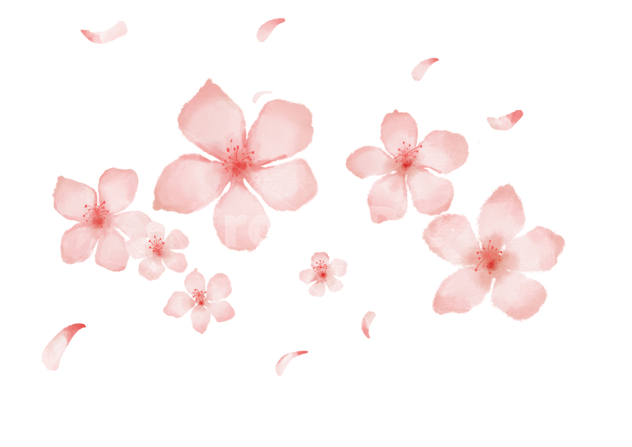 벚꽃,꽃,자연,식물,사쿠라,봄,봄꽃,flower,blossom