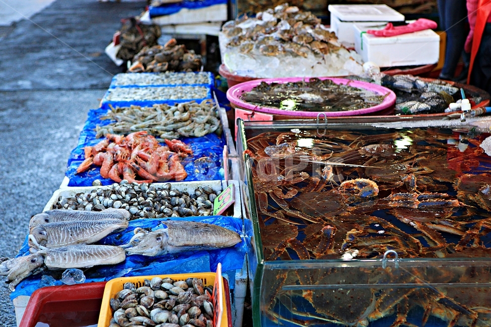게,새우,배경,좌판,자연,음식,먹거리,시장,마트,마켓,market,mart,market place,음식,식재료,요리,food,cook,meal,dishes,food reserves,수산물,해산물,fishery products,seafood