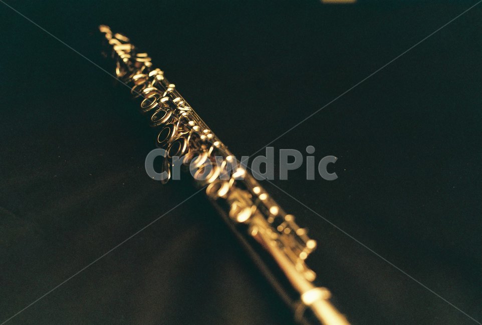플룻,플루트,풀룻,풀루트,관악기,악기,음향기기,musical instrument,musical equipment