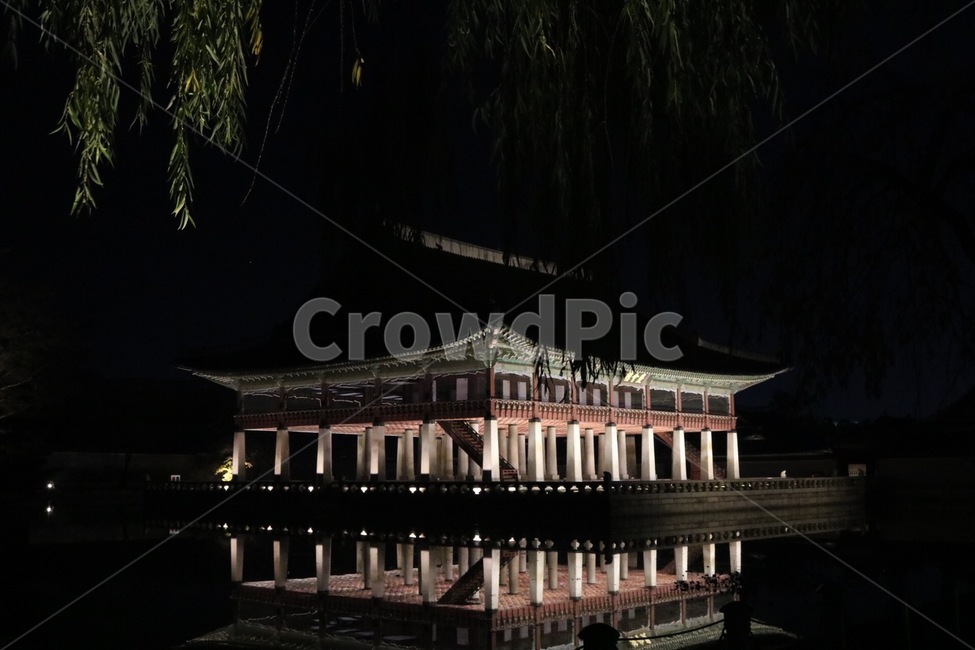 경복궁,야간개장,경복궁야간개장,역사,문화재,야경,밤,풍경,nightscape,night,landscape,한국전통,한국문화,korean traditional,korean culture,랜드마크,landmark,tourist attraction,한국랜드마크,한국관광지,한국명소,korea landmark,korea tourist attraction,건축물,건물외관,exterior,building,structure,architecture,construction,건물