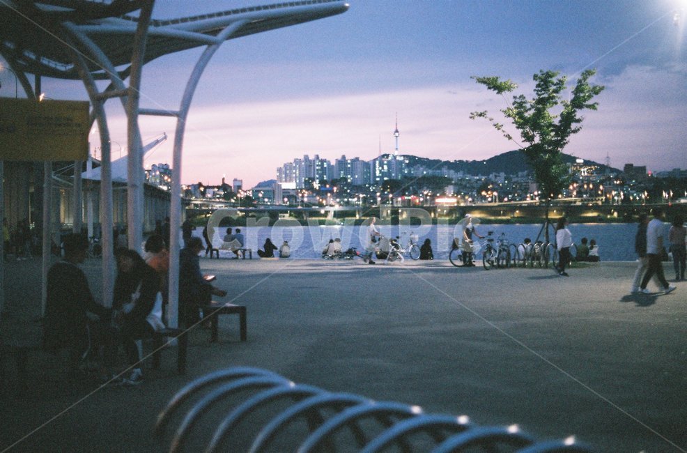 한강,한강공원,남산타워,야경,저녁,필름,필름사진,사람,인물,인간,human,person,사람들,대중,군중,other people,crowd