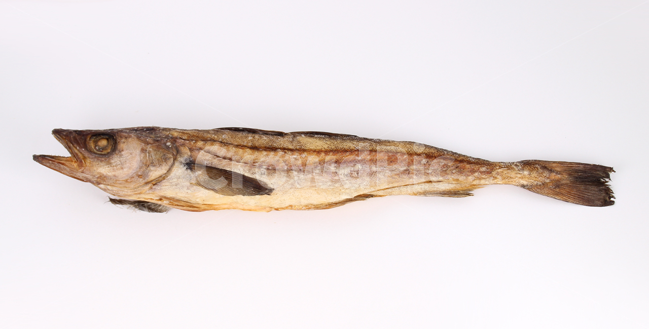 fish,물고기,황태,북어,driedpollack,개업집,음식,식재료,요리,food,cook,meal,dishes,food reserves