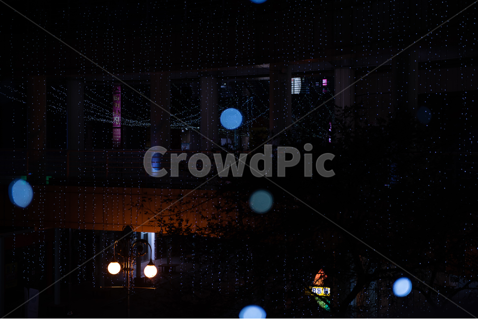 lighting,조명,빛,야외,파란,블러,배경,반짝,어두운,빛나는,반짝이는,아름다운,불,light,outdoor,blue,blur,background,dark,shiny,sparkling,beautiful,fire,네온,neon