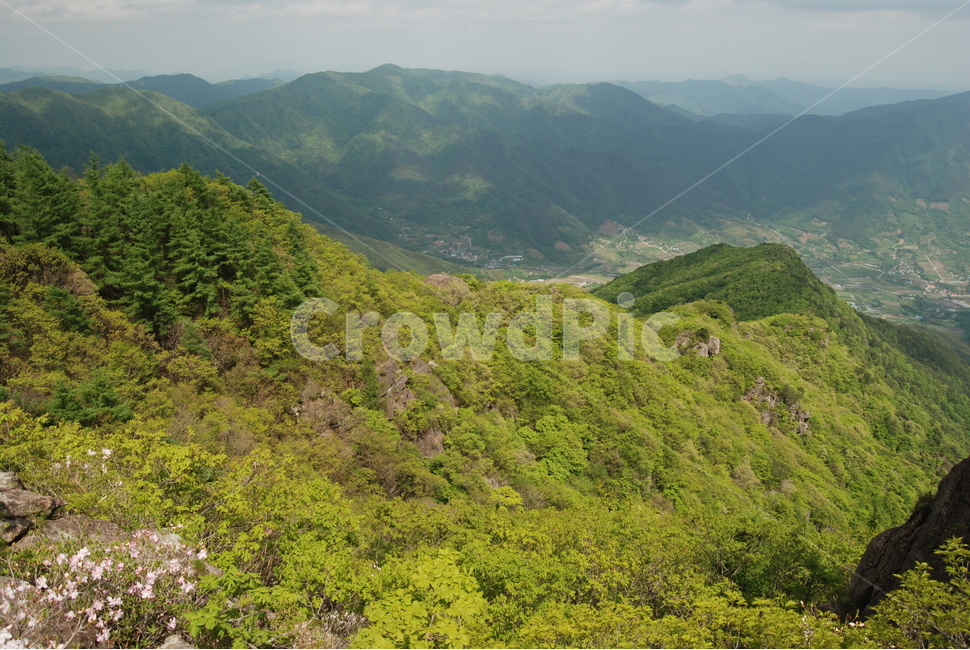 봄,산,꽃,자연,하늘,자연,풍경,nature,landscape,outdoors,옥외,hill,언덕