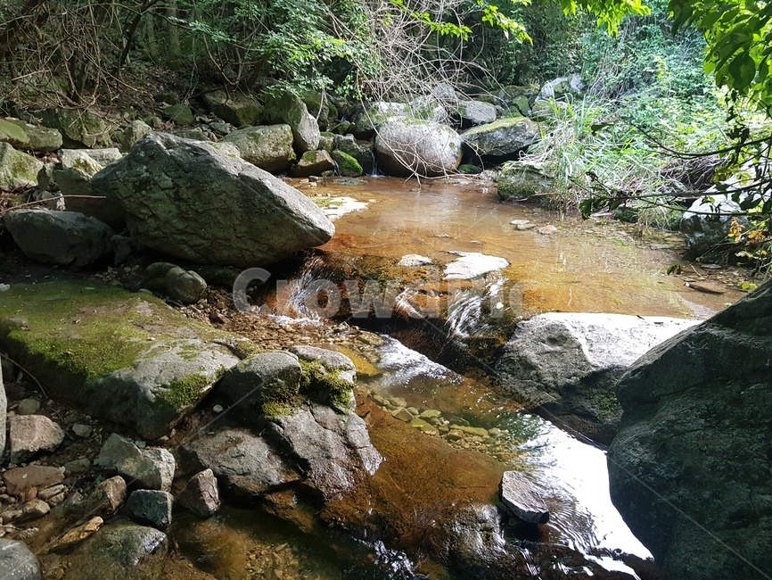 계곡,상신계곡,계룡산,자연,맑은물,자연,풍경,nature,landscape,water,물,outdoors,옥외,creek,작은 만,stream,흐름