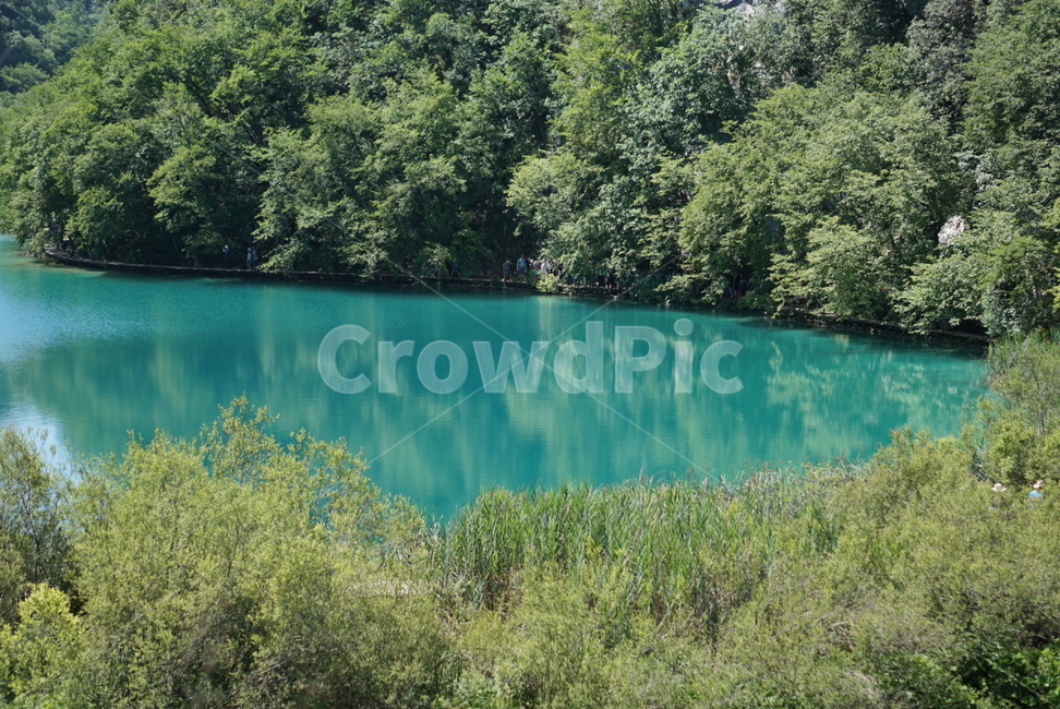플리트비체,water,river,outdoors,물,강,자연,폭포,waterfall,호수,rake,크로아티아,croatia,plitvice,nationalpark,세계자연풍경,해외자연풍경,외국자연풍경,world nature landscape,nature,옥외