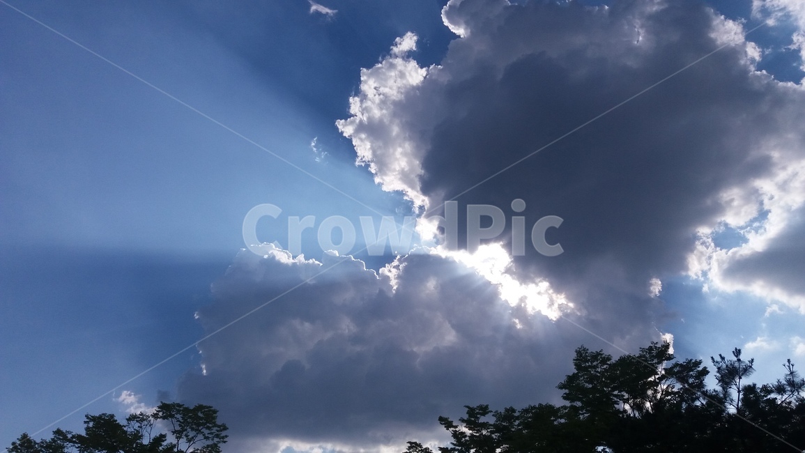 하늘,구름,빛,해,태양,햇빛,나무,자연,풍경,sky,cloud,sunshine,light,blue,nature