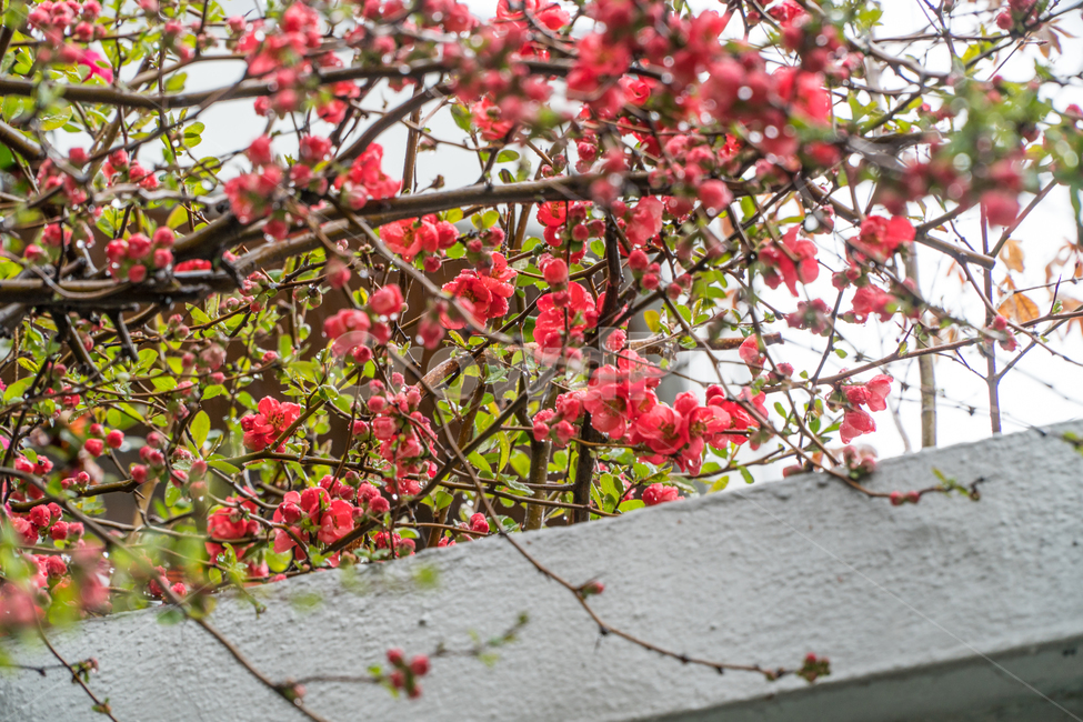 자연,풀,줄기,새싹,생명,봄,계절,spring,season,식물,자연,plants,nature,꽃,flower,plant