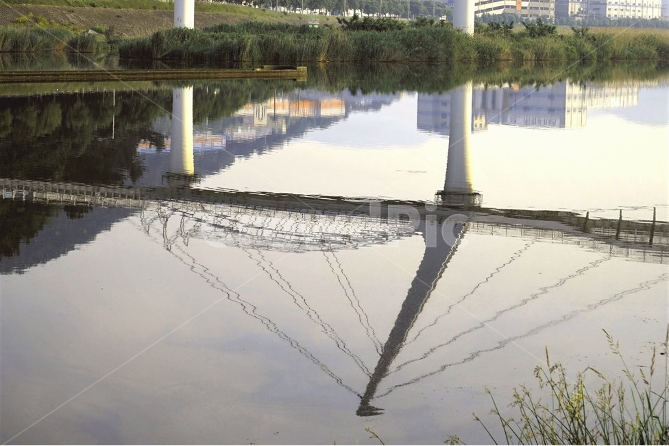 다리,강가,강,샛강,백조,물그림자,산책로,riverside,river,swam,watershadow,풍경,view,자연,풍경,nature,landscape,architecture,건축물,building,건물,dome,둥근 천장