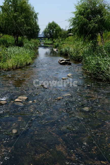 서울,불광천,개천,풍경,산책,자연,풍경,nature,landscape,water,물,outdoors,옥외,ditch,도랑