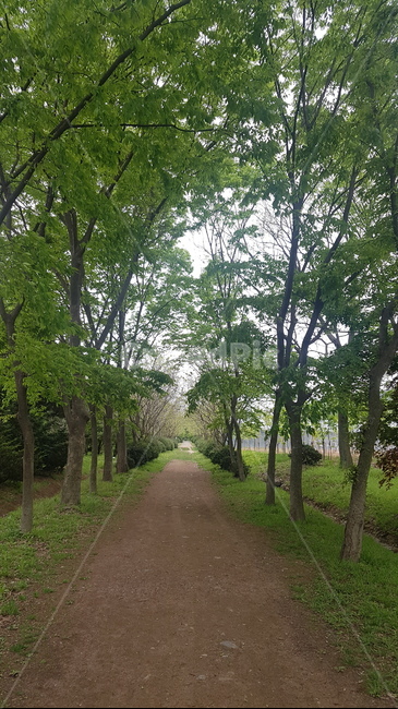경주,수목원,산림환경연구원,경상북도,감성,나무,감성사진,힐링,산책,초록,여름,계절,여름분위기,나무길,숲길,초록나무,summer,잎,tree,healing,heal,forest,sense,자연