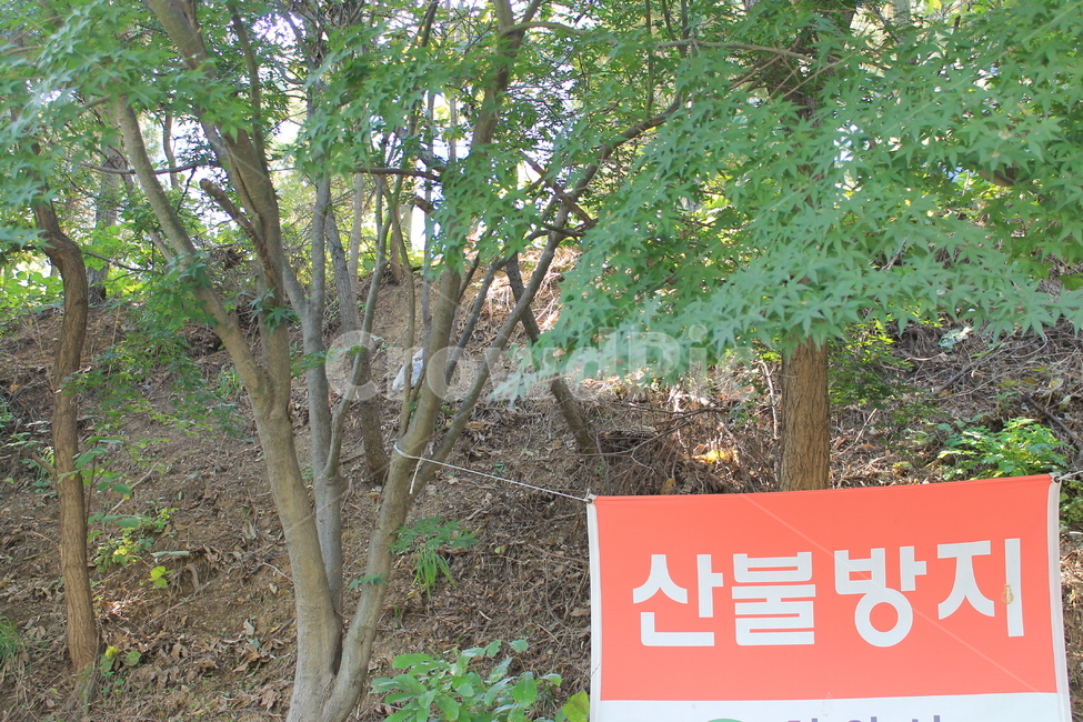 소각금지,산불조심,현수막,배너,산불방지