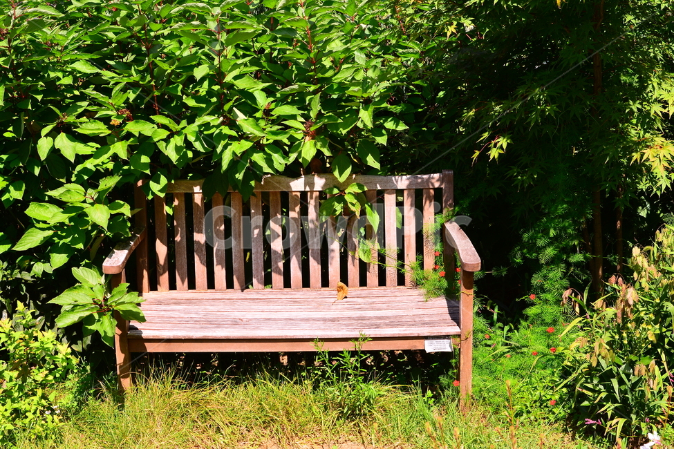 벤치,의자,나무의자,쉼터,휴식,빈자리,relaxation,rest,쉼,쉬어가는곳,힐링,여유,명상,산책,bench,leisure,sit,chair,풍경,앉다,자리,편안한,숲속,정원,healing,휴식,힐링,rest,relaxation,healing