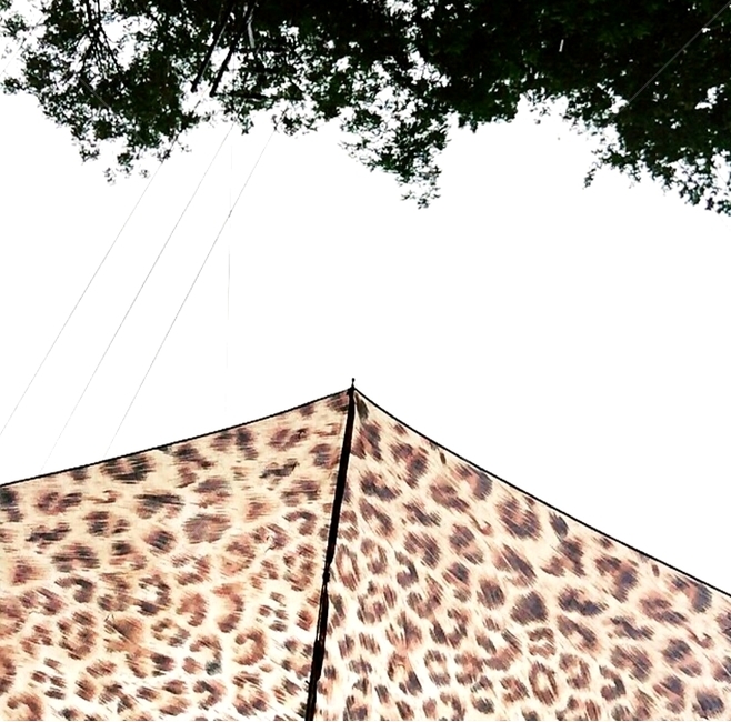 비,rain,비오는날,우산,레오파드