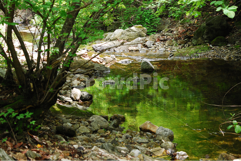 계곡,힐링,물,명산,시원함,cool,valley,healing,water,summer,휴식,쉼,맑은,흐르다,flow,mountain,landscape,nature,자연풍경,자연,풍경,계절,시즌,rest,한국자연풍경,여름,반영,그림자,비치다,잔잔함,나무,숲,그린,초록,그늘,자연,풍경,nature,landscape,한국자연풍경,한국자연경관,korea nature landscape,outdoors,옥외,stream,흐름,creek,작은 만