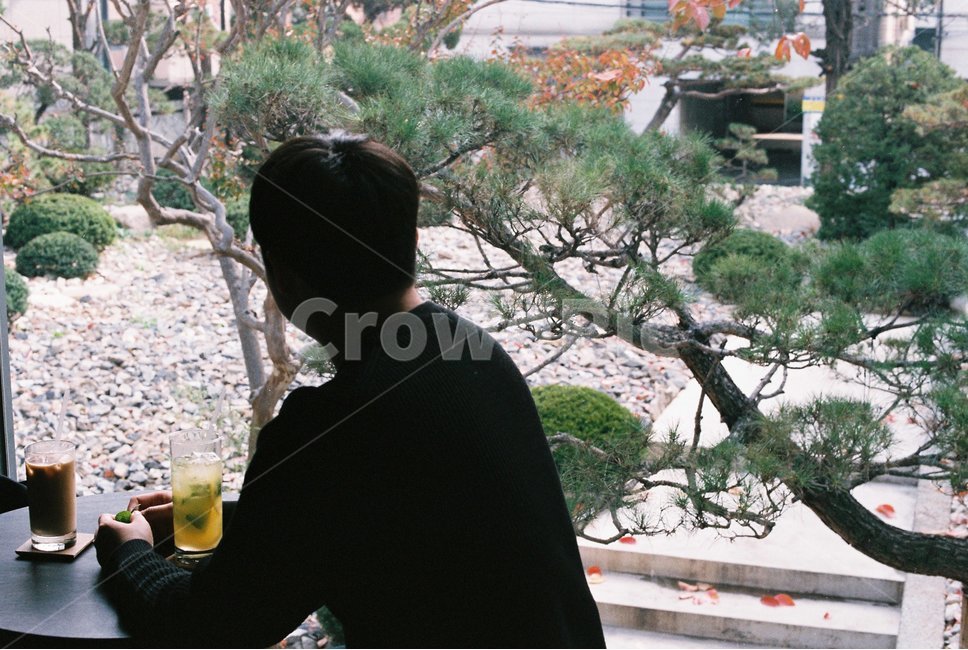 기다림,카페,남자,남자뒷모습,뒷모습,소나무,사람,인물,인간,human,person,남성,남자,man,male,인물실루엣,사람실루엣,character silhouette,human silhouette,커피,카페,coffee,cafe,plant,식물,tree,나무