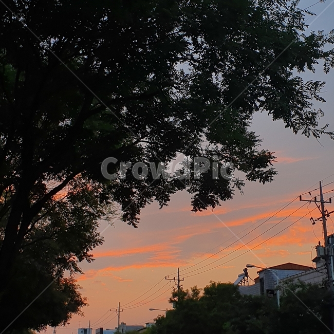 nature,자연,outdoors,옥외,하늘,노을,6시