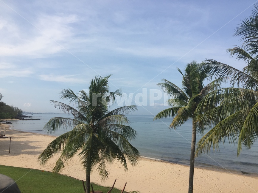 모래,해변,야자수,구름,바다,푸른하늘,자연,풍경,nature,landscape,해변,바다,beach,sea,summer,여름