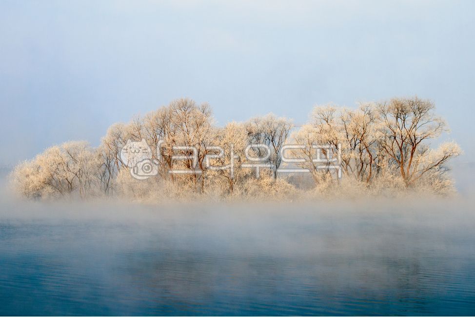 상고대,서리,눈꽃,소양강,소양호,겨울,물안개,안개,물,강,호수,추운,차가운,아침,나무,야외,실외,풍경,강원도,춘천시,춘천
