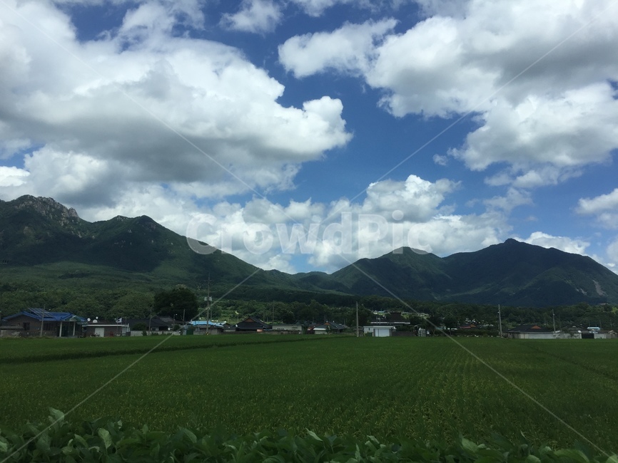 nature,자연,weather,날씨,field,들,자연,풍경,nature,landscape,outdoors,옥외,grassland,목초지