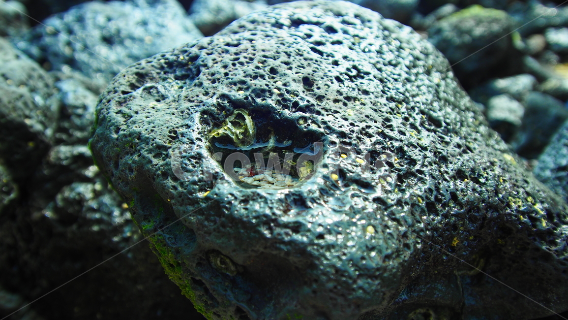 돌,현무암,자연,구멍,stone,nature,hole,basalt