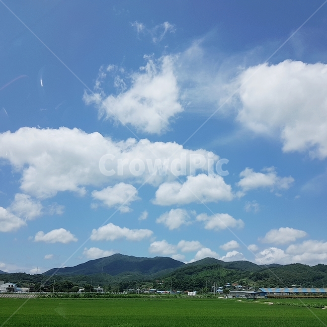 풍경,하늘,시골,산,논