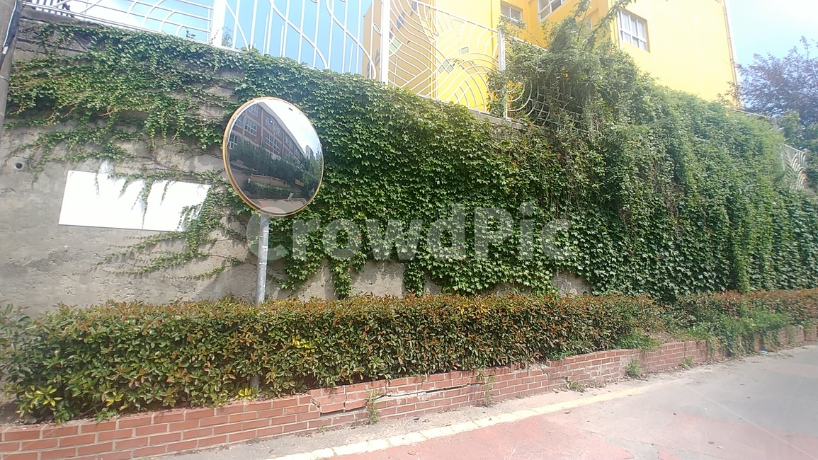 학교근처,전반거울,어린이보호구역,감성사진,골목길