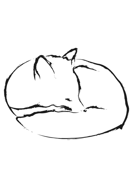 여우,여우일러스트,여우그림,일러스트,동물,동물일러스트,그래픽,일러스트레이션,graphic,illustration