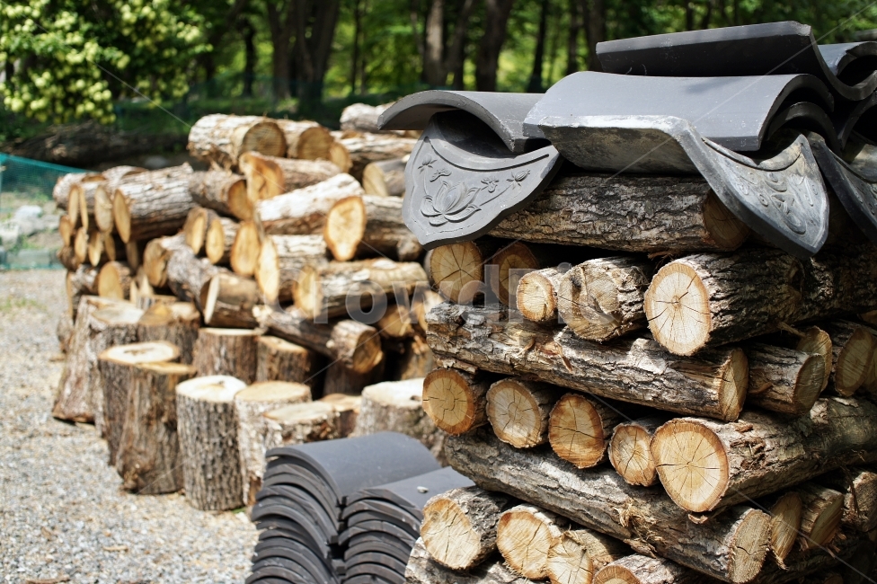 나무,wood,풍경,landscape,자연,nature,숲,forest,감성,한국전통,한국문화,korean traditional,korean culture