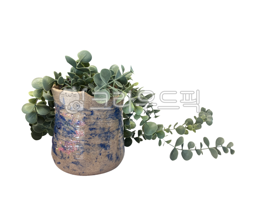 화분,잎사귀,실내장식,배경,png,투명배경,누끼,장식,꾸밈,데코레이션,초록,이파리,장식물,디자인,식물,pottedplant,leaf,interiordecoration,background,transparentbackground,isolated,embellishment,green,leaves,decoration,design