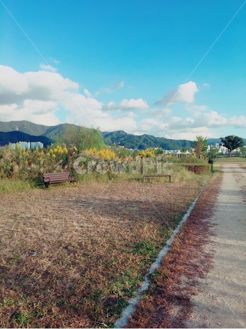 공원,가을,갈대,풍경,구름,자연,풍경,nature,landscape,ground,바닥,dirt road,흙길,road,도로,gravel,자갈,outdoors,옥외