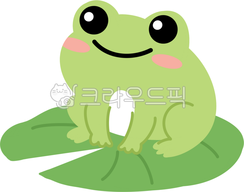 개구리,청개구리,연못동물,경칩,봄,여름,장마,수련,이파리,잎,연잎,연꽃잎