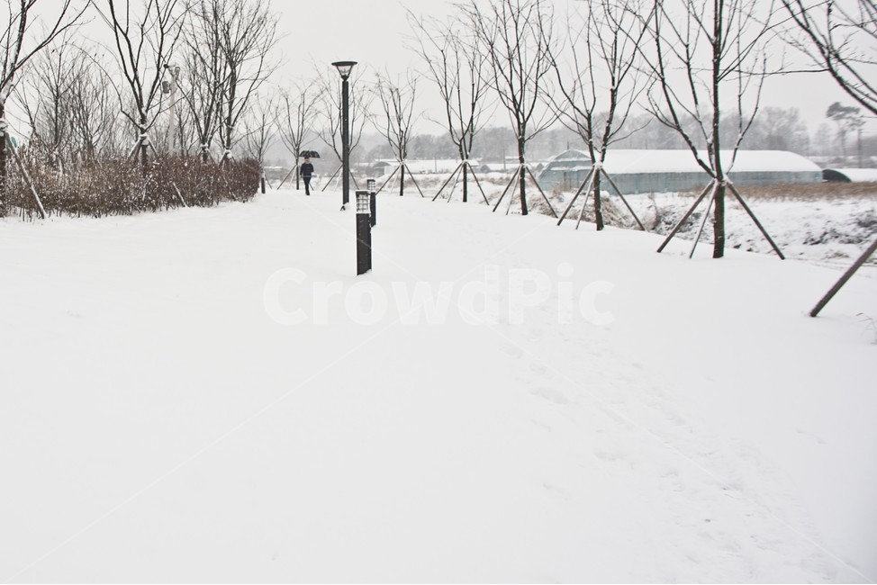 겨울,흰눈,사람,행인,우산,길,자연,겨울,계절,winter,season,자연,풍경,nature,landscape,storm,폭풍,outdoors,옥외,snow,눈,blizzard,눈보라