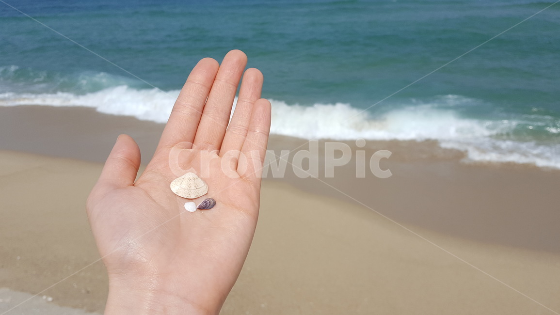 바다,바닷가,파도,모래사장,손,조개,여름,여름바다,휴가,여행,ocean,sea,hand,wave,summer,vacation,vacance,sandybeach,beach,감성,감성사진,느낌,컨셉