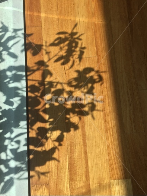 그림자,shadow,오후,쓸쓸한,afternoon,실루엣,그림자,silhouette,shadow