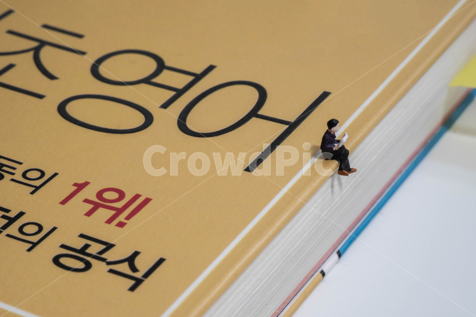 person studying,3 days of determination,miniature,English book,Learning English