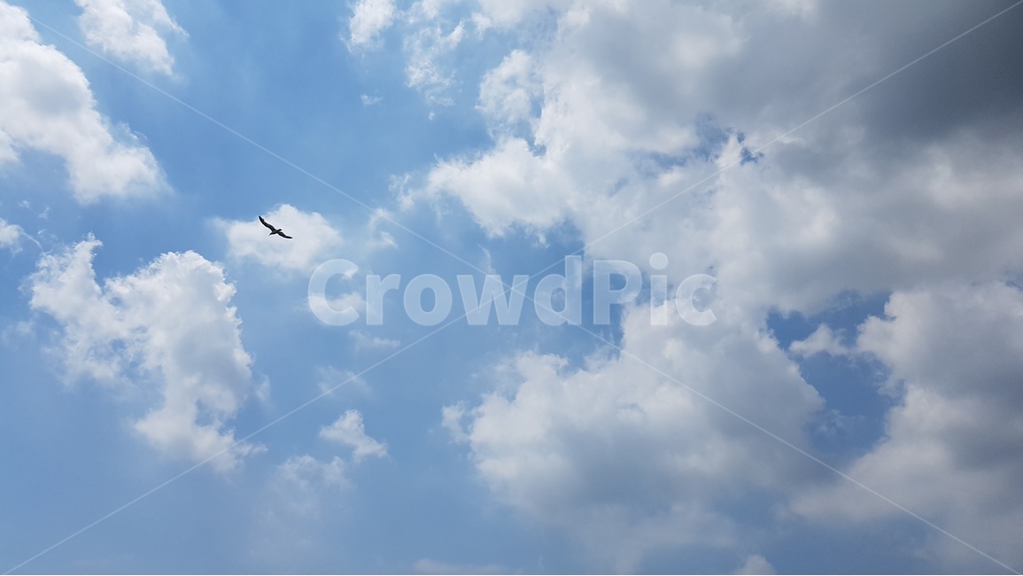 하늘,sky,자연,nature,구름,자연,풍경,nature,landscape,leisure activities,레저 활동,adventure,모험,outdoors,옥외