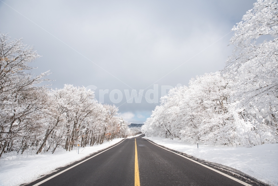 겨울,겨울풍경,예쁜길,길사진,풍경,겨울,계절,winter,season,자연,풍경,nature,landscape,교통,교통수단,traffic,transportation,outdoors,옥외,road,도로,asphalt,아스팔트,ice,빙