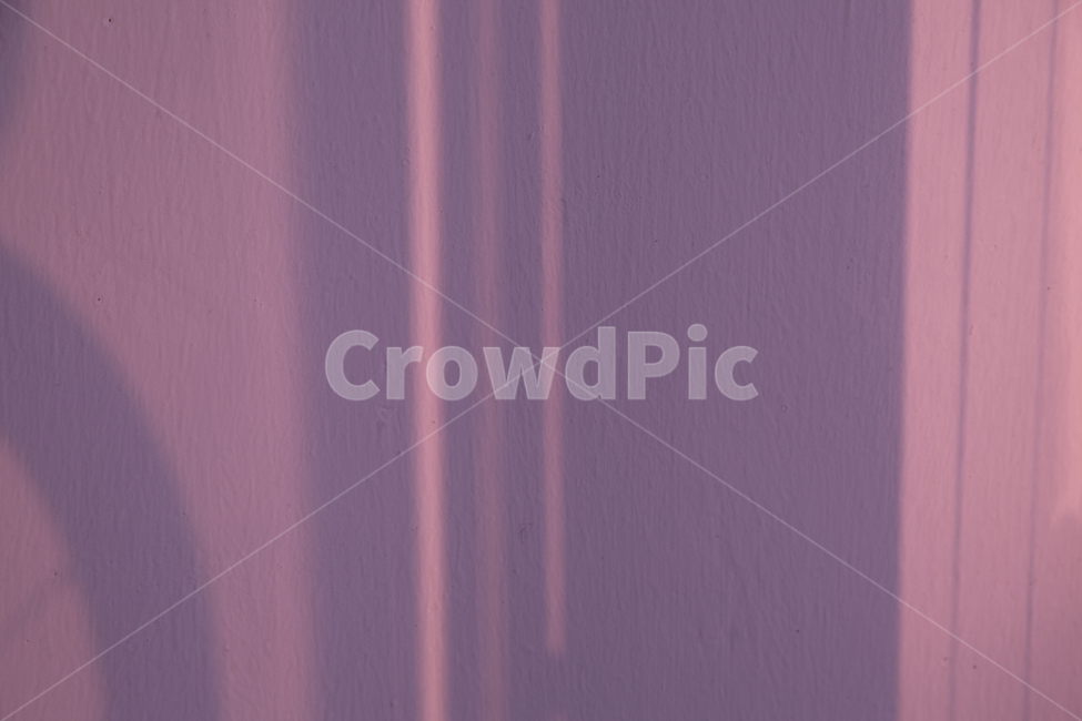 보라색,유행,컬러,빛,감성사진,Panton,Color,Violet,Mood,daylight,감성,sensible,feeling,색깔,색상,색채,색감,color sense,color sensitivity,feeling of color