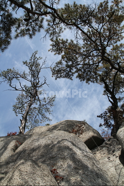 관악산,돌,나무,하늘,가을하늘,자연,풍경,nature,landscape