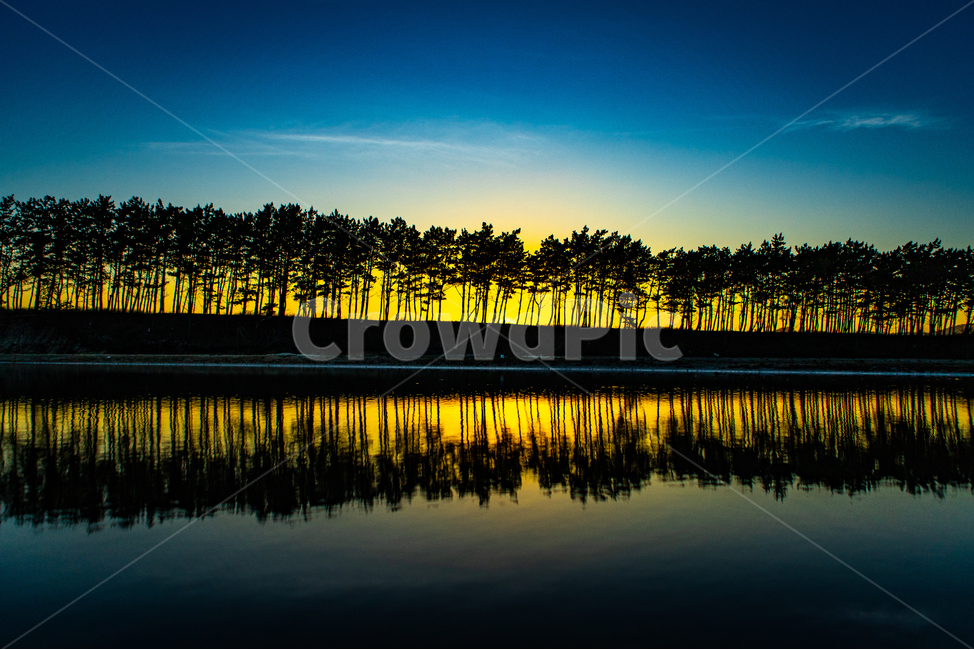 일몰,해변,소나무,운여해변,바닷가,자연,풍경,nature,landscape,water,물,outdoors,옥외