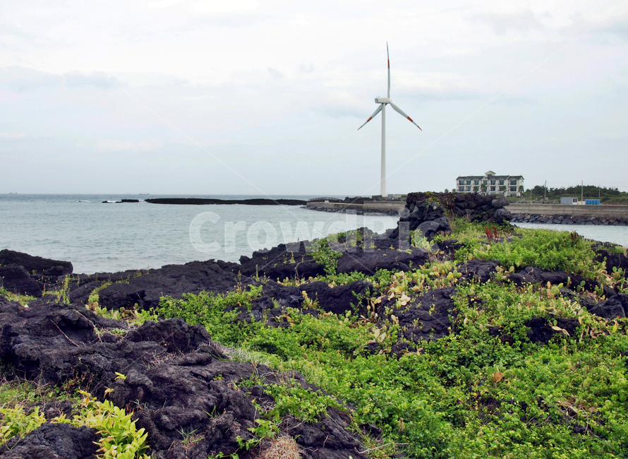해안길,선인장자생지,제주,올레14코스,올레길,바다,월령코지,자연,풍경,nature,landscape,제주도,jeju,jeju island,산업,industry,industrial,에너지산업,energy industry,engine,엔진,machine,기계,motor,모터