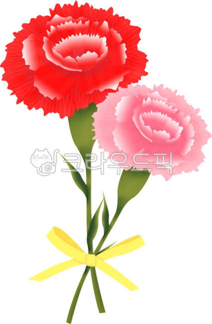 mothersday,카네이션꽃다발,카네이션,꽃,어버이날,carnation,flower,parentsday,anniversary,red,블로섬,개화,묶음