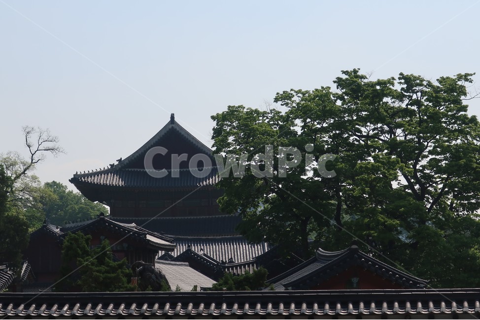경복궁,기와,지붕,마루,팔작,용마루,추녀,한옥,궁궐,맞배,한국전통,한국문화,korean traditional,korean culture,건축물,건물외관,exterior,building,structure,architecture,construction