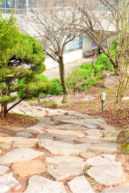 돌길,봄,나무,따뜻함,초록,자연,풍경,nature,landscape,flagstone,판석,tree,plant,식물