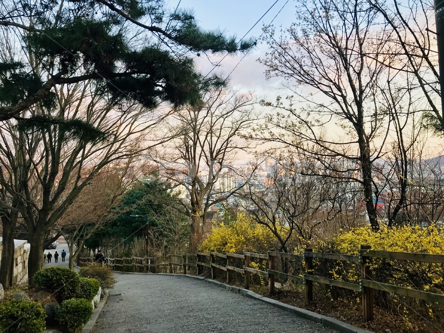 꽃,풍경,나무,성곽,산책,산,해질녘,저녁,하늘,봄,계절,spring,season,도시,풍경,city,landscape,한국도시풍경,한국도시경관,korea cityscape,path,통로,walkway,보도,asphalt,아스팔트,plant,식물,tree
