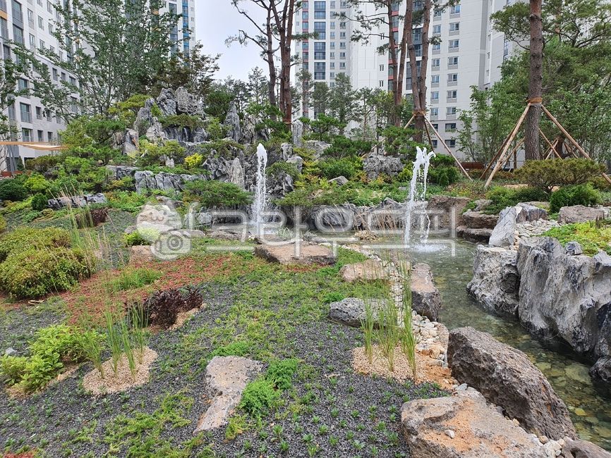Pine tree landscaping,pine tree,flower bed,natural landscape,Apartment landscaping,garden,landscape,peacock maple,park