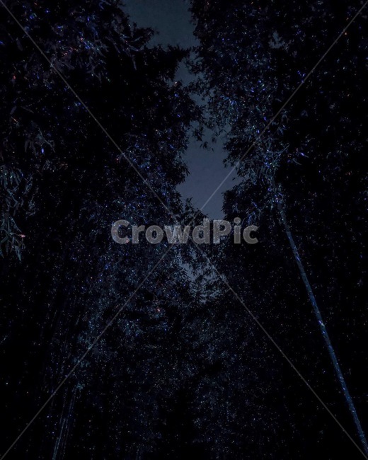 nature,자연,outdoors,밤하늘,은하수,별,달,하늘,자연,풍경,nature,landscape,옥외