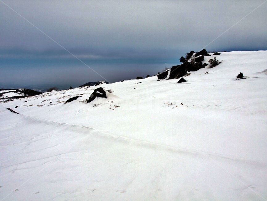어리목,한라산,제주도,겨울,설산,설경,눈,겨울,계절,winter,season,자연,풍경,nature,landscape,slope,경사,outdoors,옥외,mountain,산